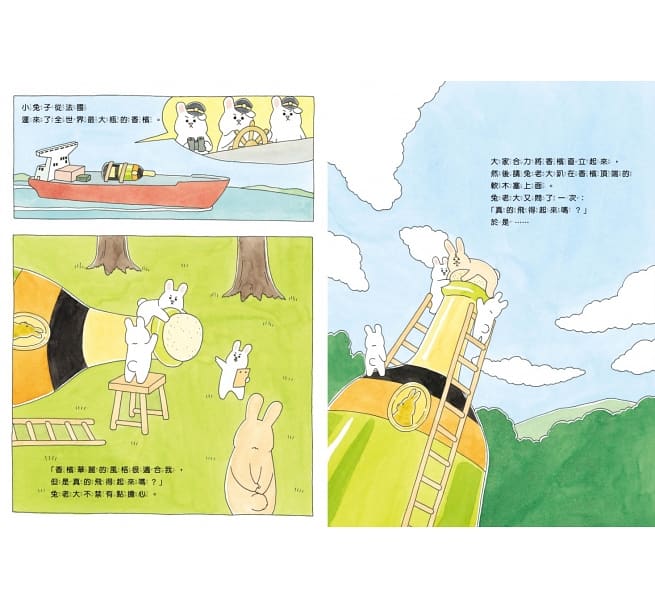 好想飛的兔老大